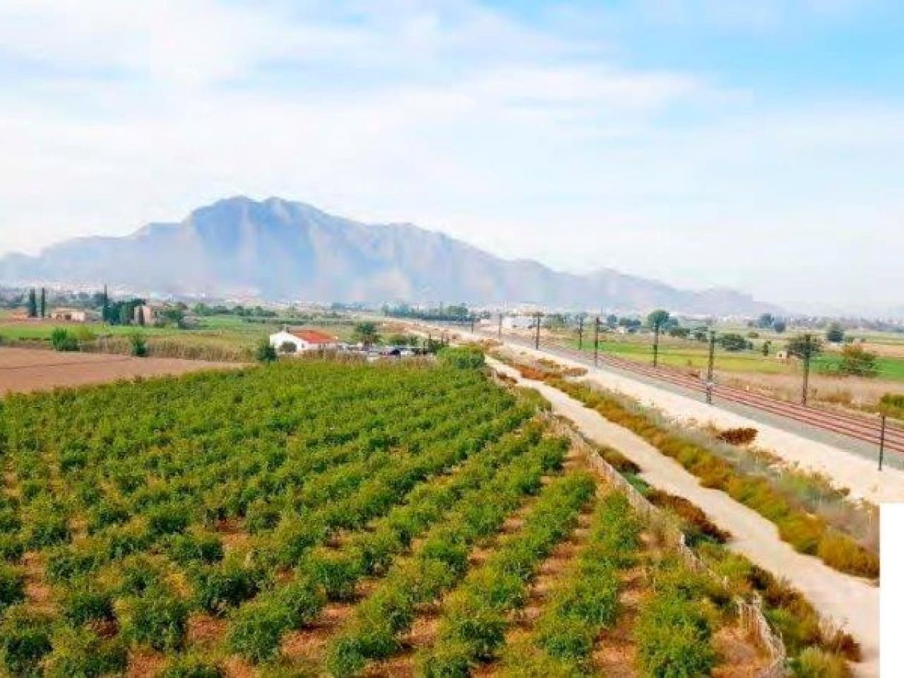 1 chambre Finca/Maison de Campagne à vendre à Callosa de Segura - 260 000 € (Ref: 7441152)