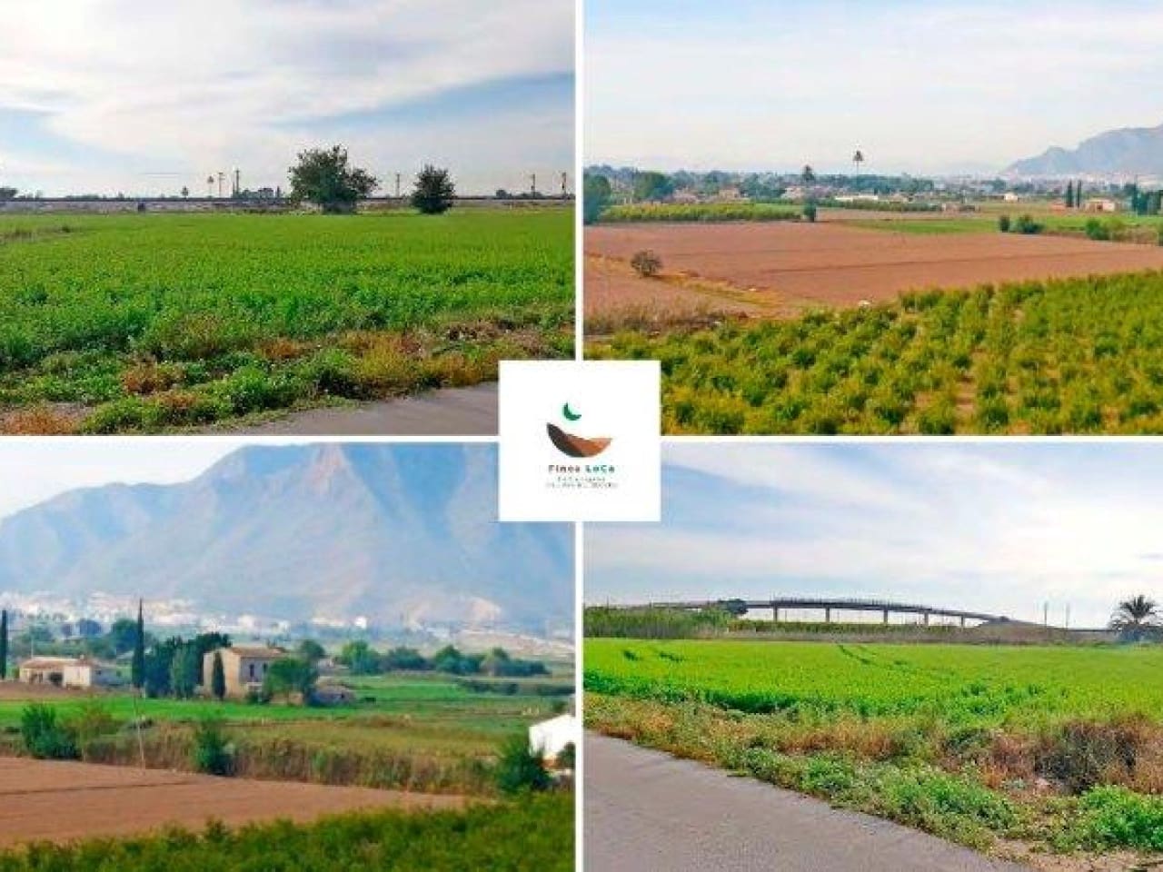 1 chambre Finca/Maison de Campagne à vendre à Callosa de Segura - 260 000 € (Ref: 7441152)