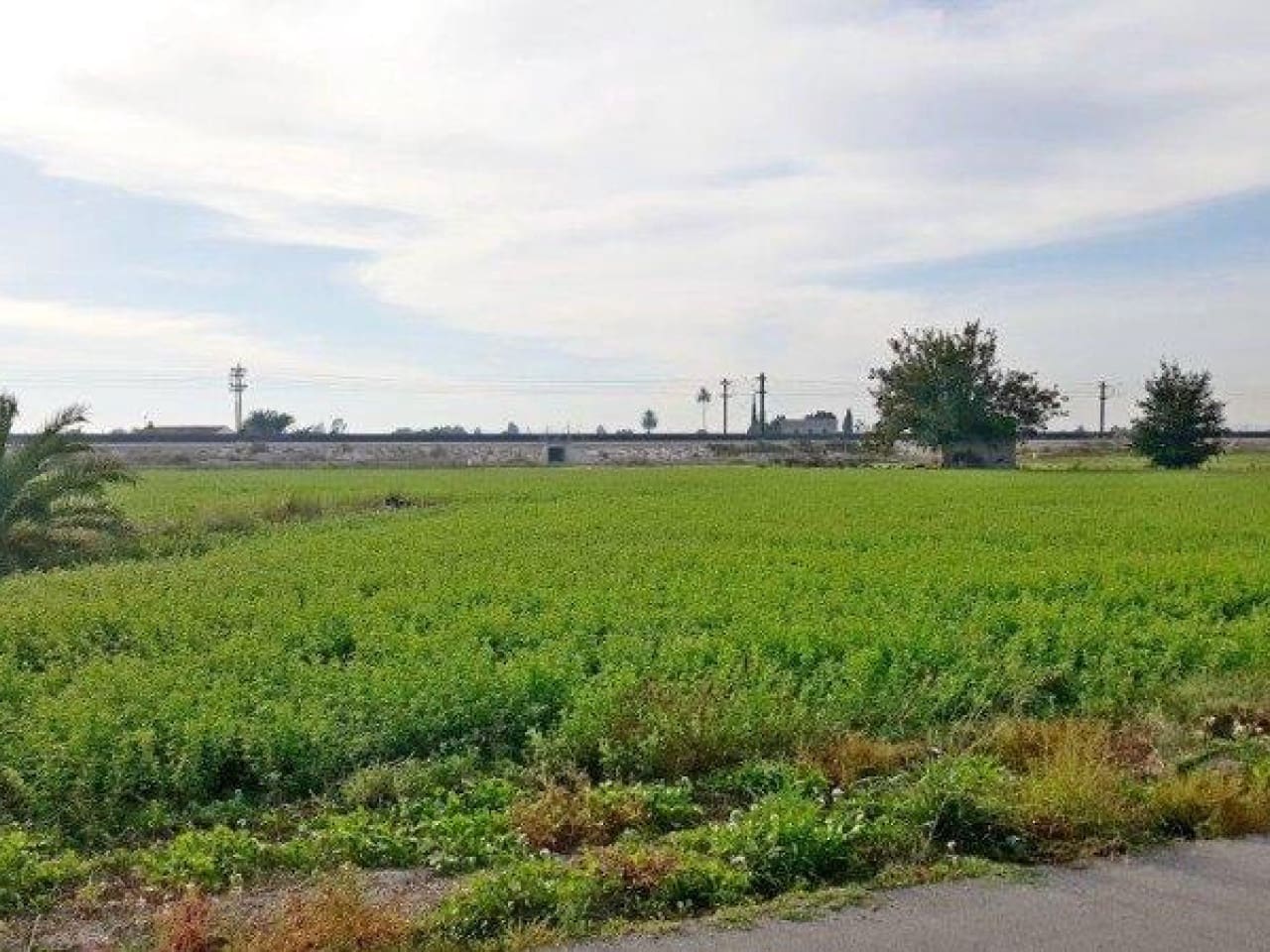 1 chambre Finca/Maison de Campagne à vendre à Callosa de Segura - 260 000 € (Ref: 7441152)