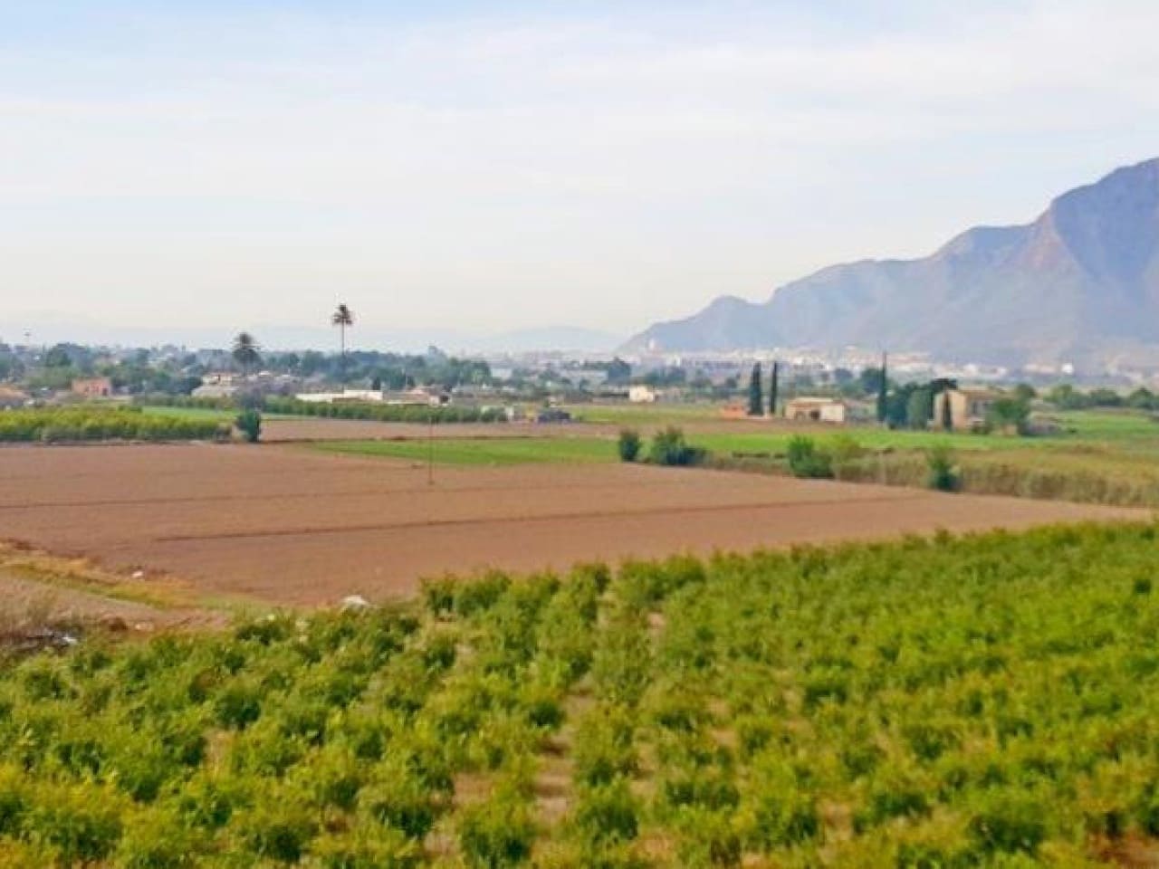 1 chambre Finca/Maison de Campagne à vendre à Callosa de Segura - 260 000 € (Ref: 7441152)