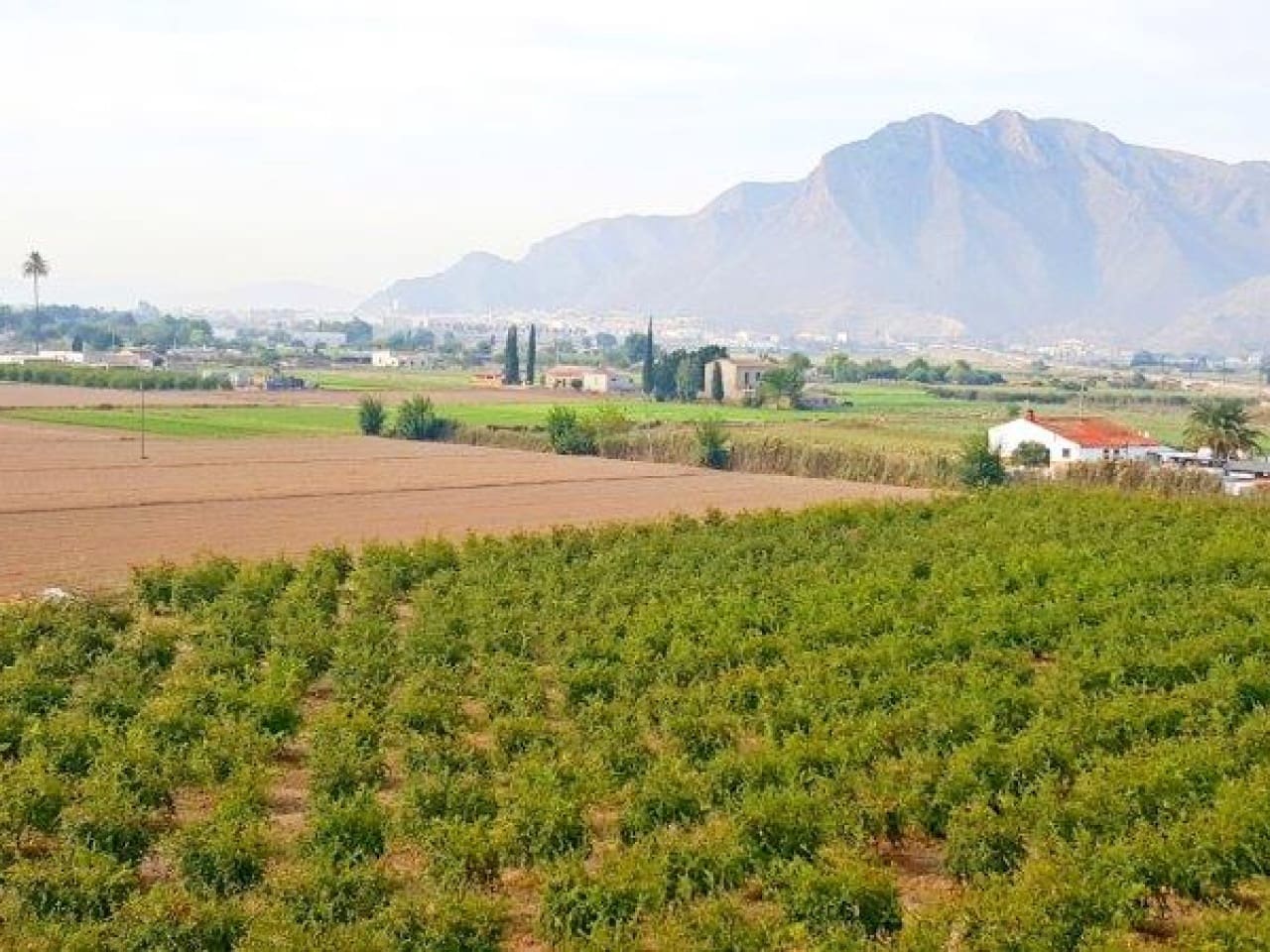 1 chambre Finca/Maison de Campagne à vendre à Callosa de Segura - 260 000 € (Ref: 7441152)