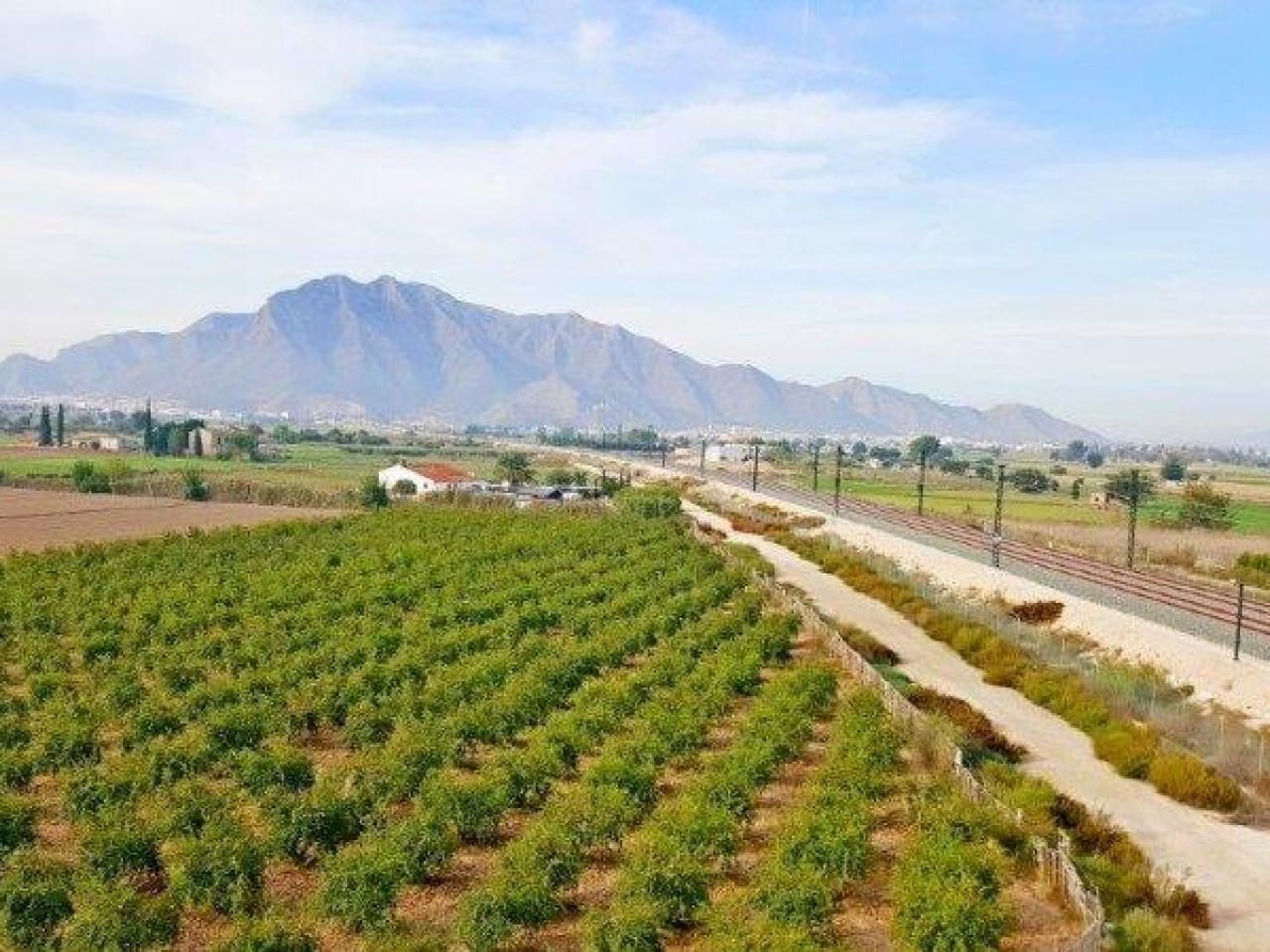 1 chambre Finca/Maison de Campagne à vendre à Callosa de Segura - 260 000 € (Ref: 7441152)