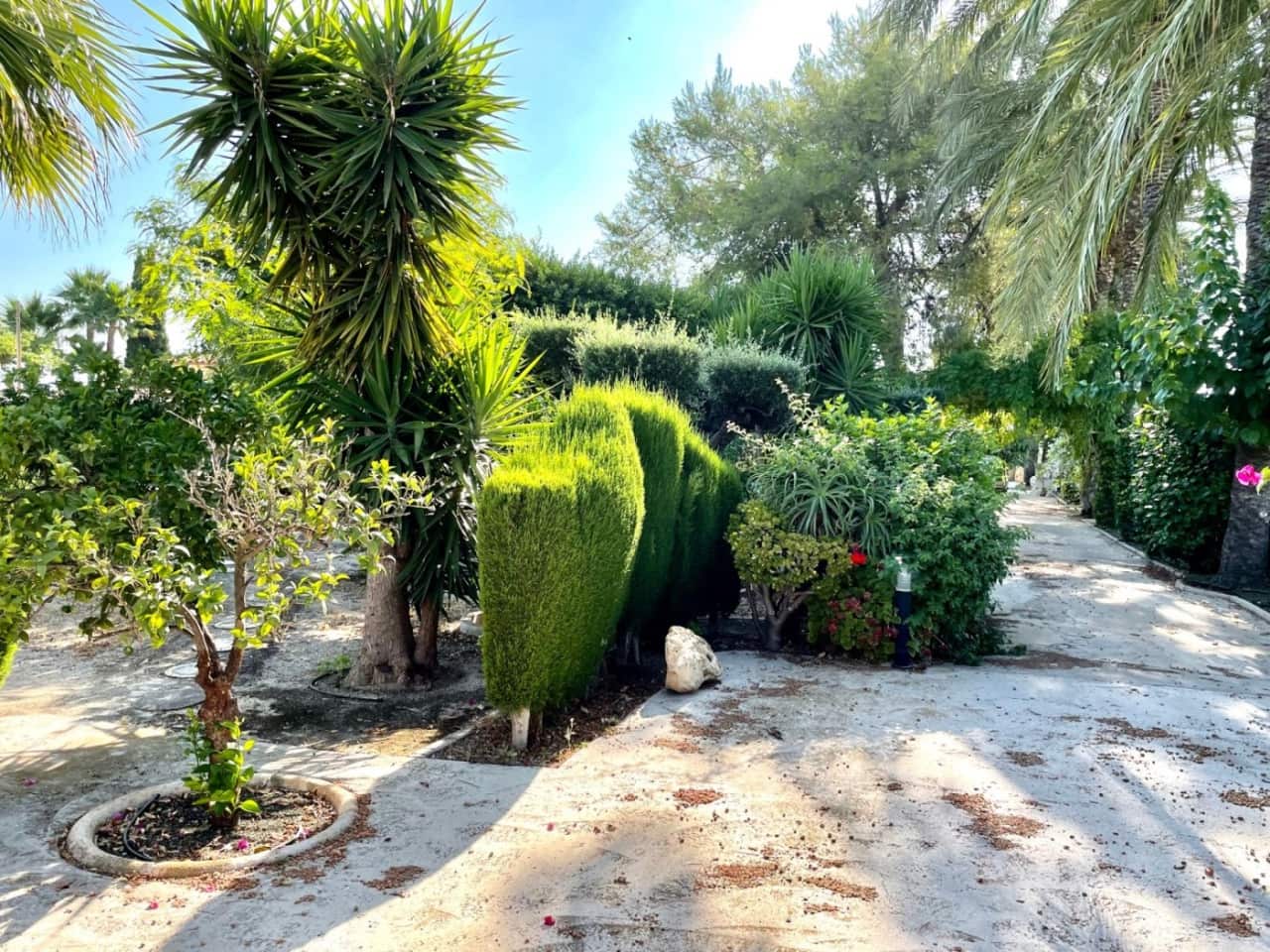 3 bedroom Finca/Country House for sale in Elche / Elx with pool - € 429,000 (Ref: 7459306)