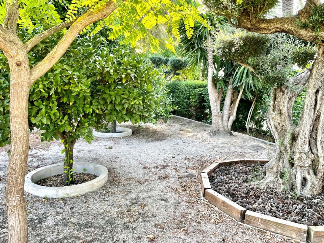 3 bedroom Finca/Country House for sale in Elche / Elx with pool - € 429,000 (Ref: 7459306)