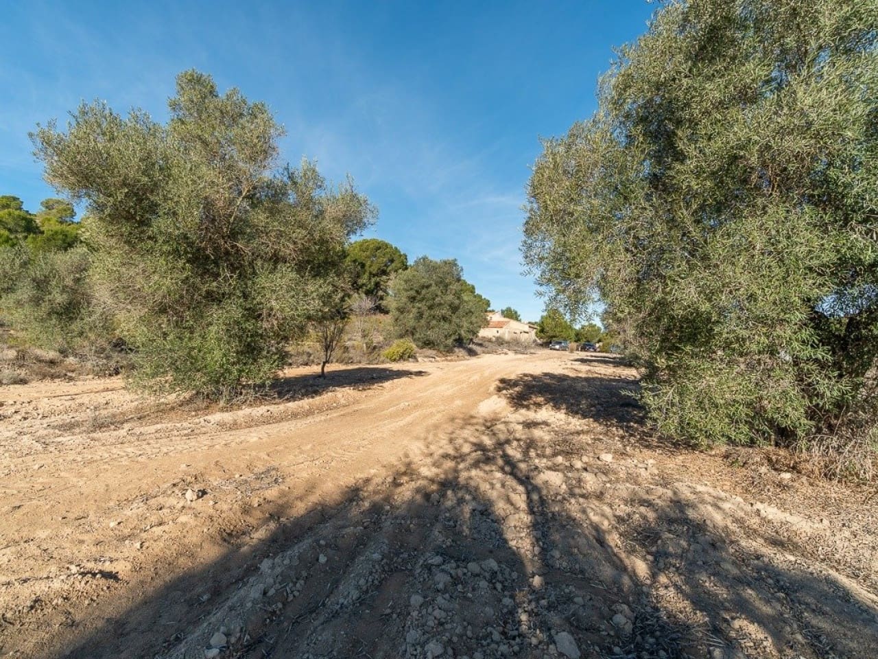 Mark till salu i Pilar de la Horadada - 645 000 € (Ref: 7523862)