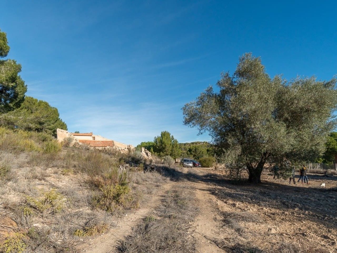 Mark till salu i Pilar de la Horadada - 645 000 € (Ref: 7523862)