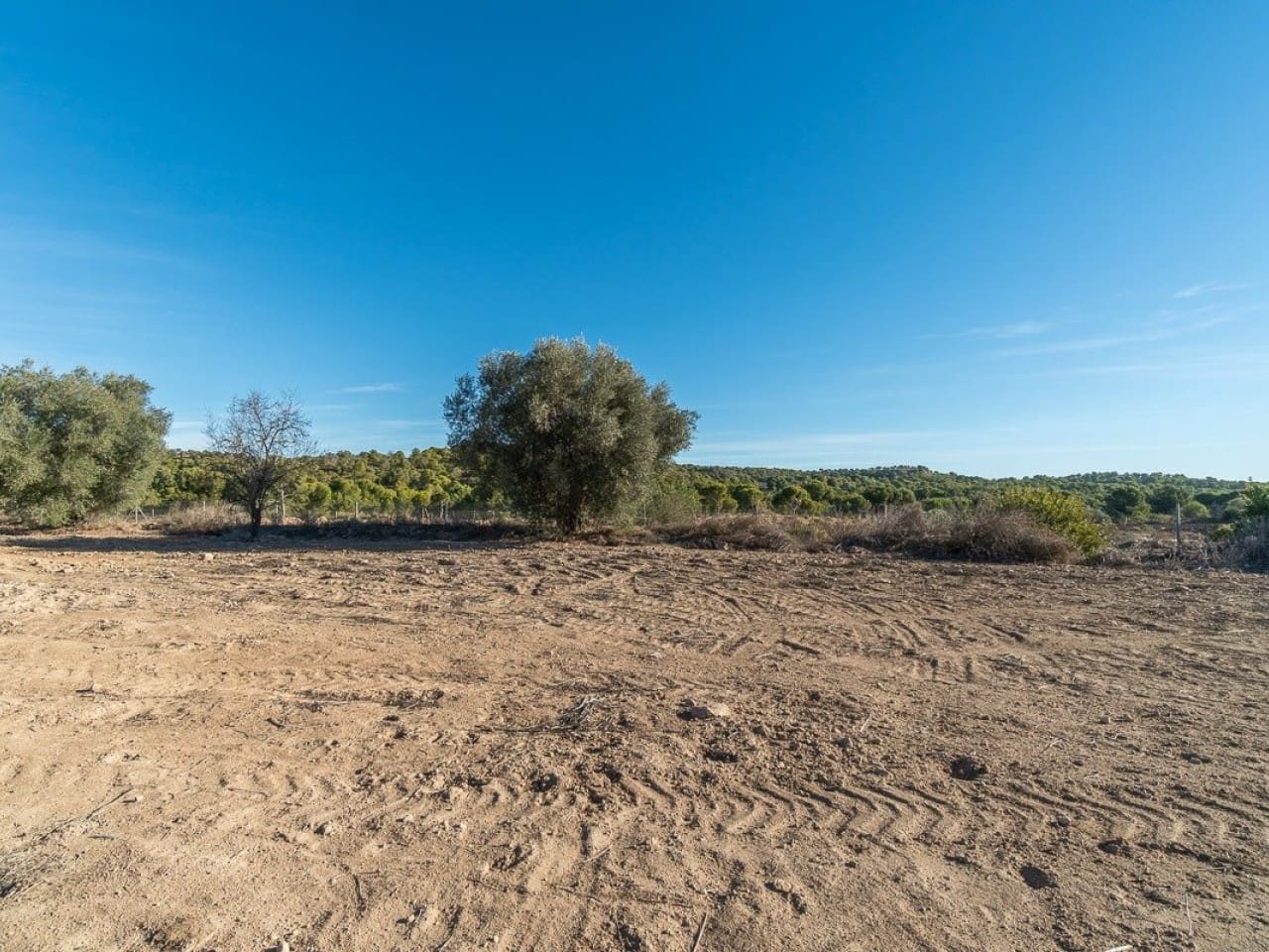 Mark till salu i Pilar de la Horadada - 645 000 € (Ref: 7523862)