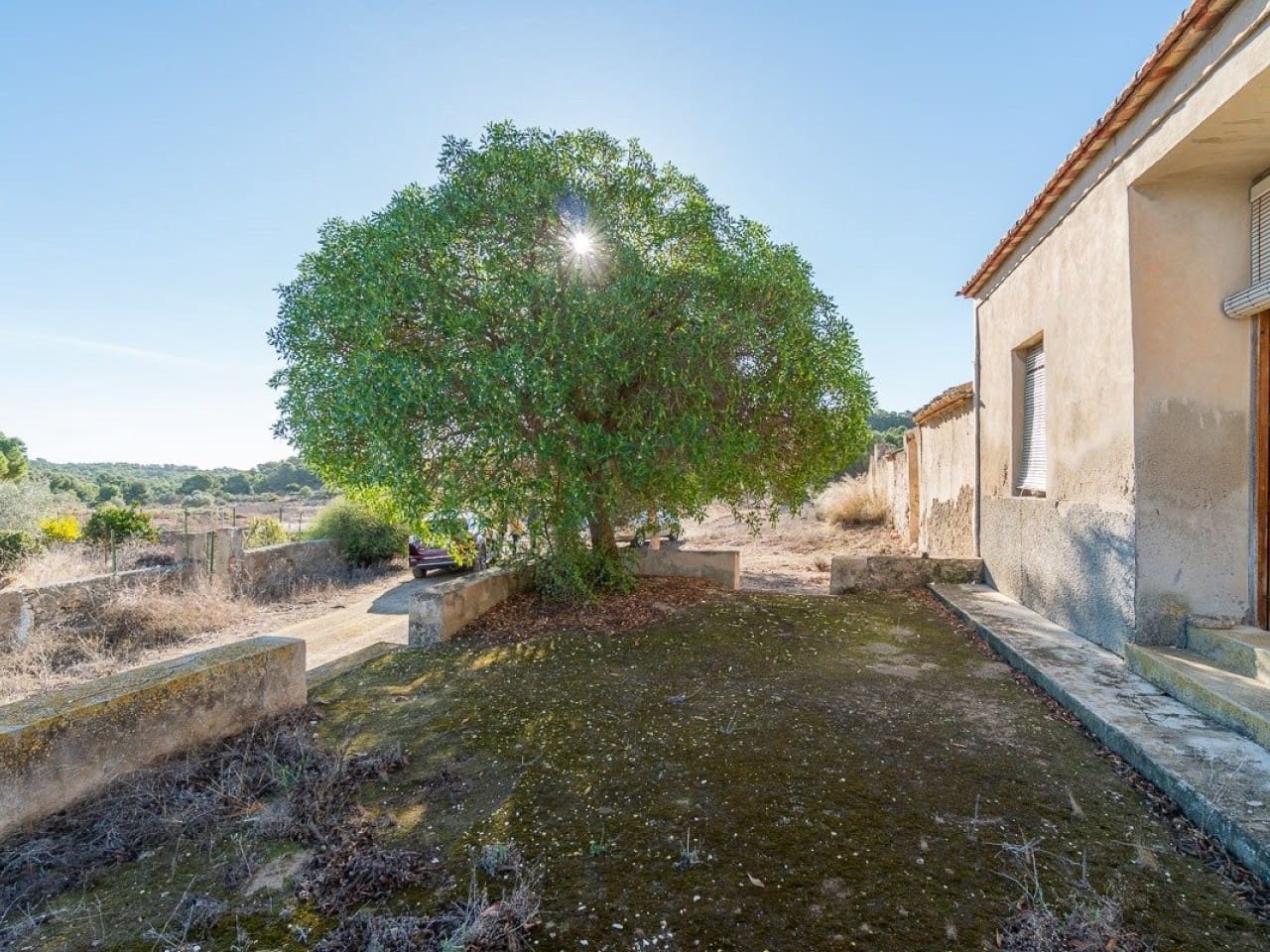 Mark till salu i Pilar de la Horadada - 645 000 € (Ref: 7523862)