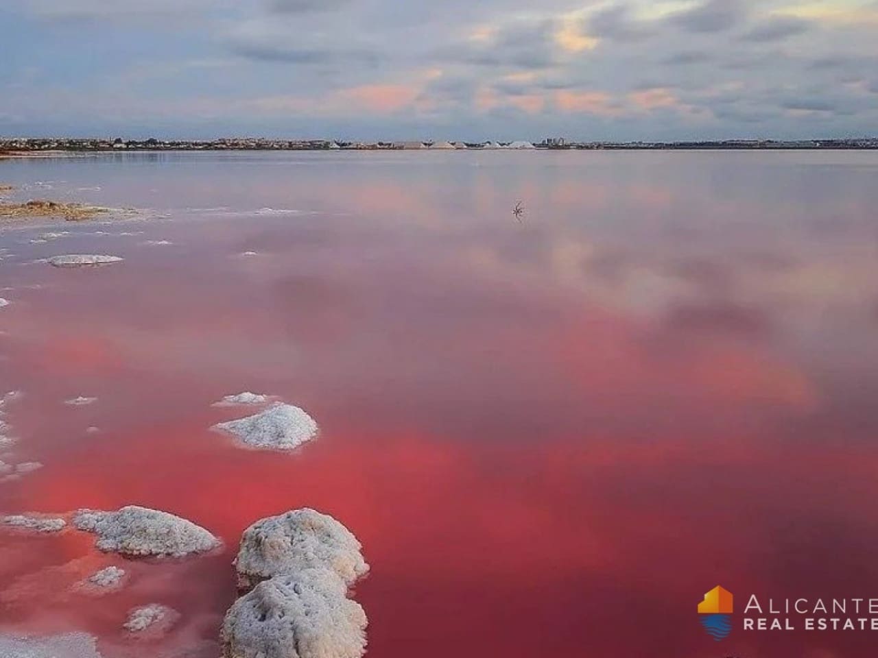 2 makuuhuone Huvila myytävänä paikassa Torrevieja mukana uima-altaan - 309 000 € (Ref: 7558799)