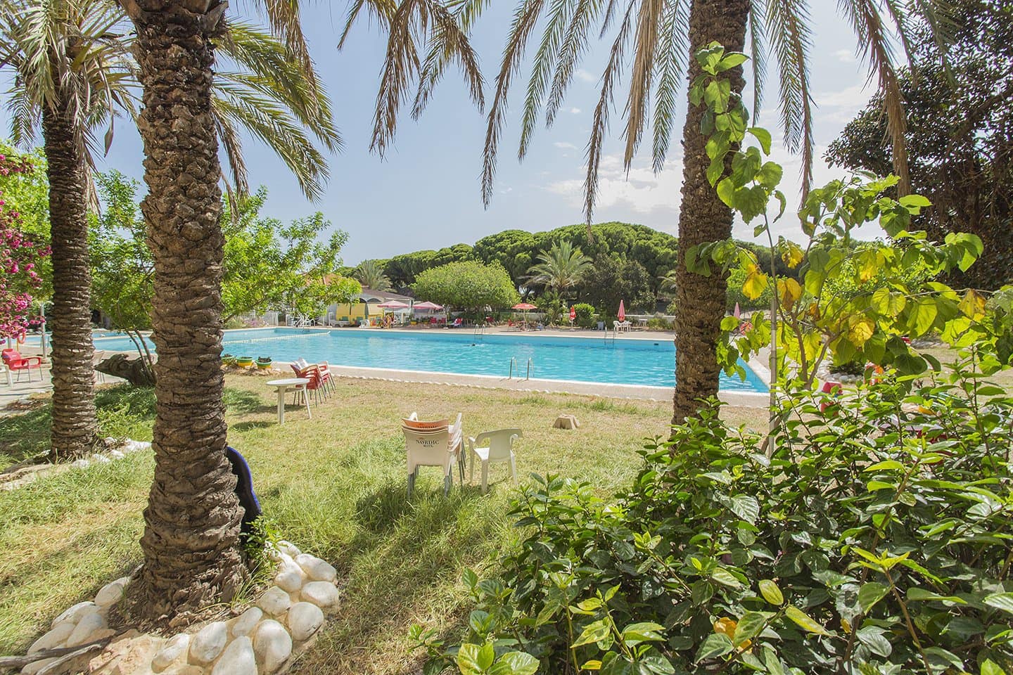 3 soveværelse Lejlighed til salg i Guardamar del Segura - € 147.260 (Ref: 7719784)