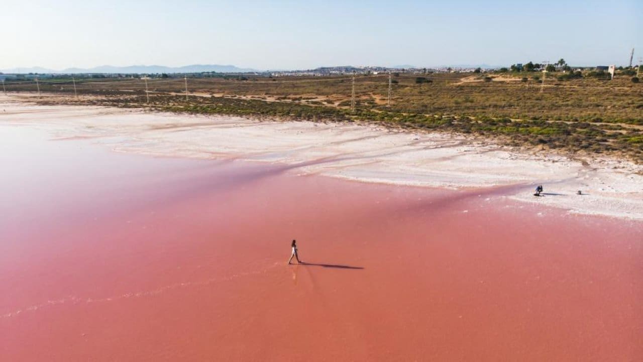 2 sypialnia Apartament na sprzedaż w Torrevieja z basenem - 469 000 € (Ref: 7957302)