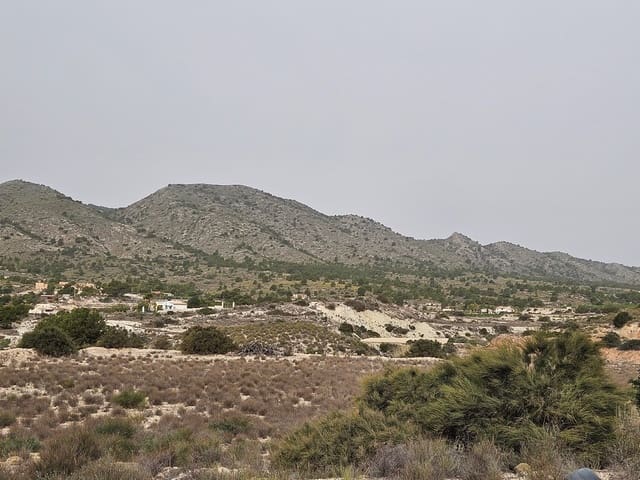 Undeveloped Land for sale in Novelda - € 45,000 (Ref: 8527111)