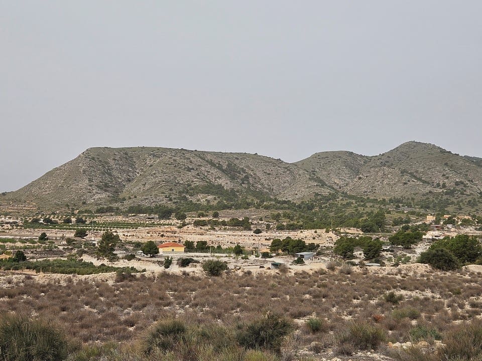 Terre non Aménagée à vendre à Novelda - 45 000 € (Ref: 8527111)