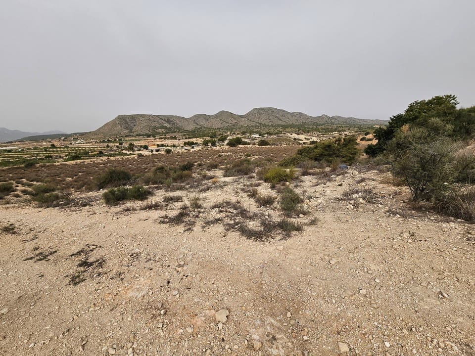 Terre non Aménagée à vendre à Novelda - 45 000 € (Ref: 8527111)