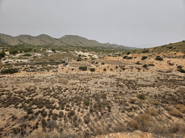 Undeveloped Land for sale in Novelda - € 45,000 (Ref: 8527111)