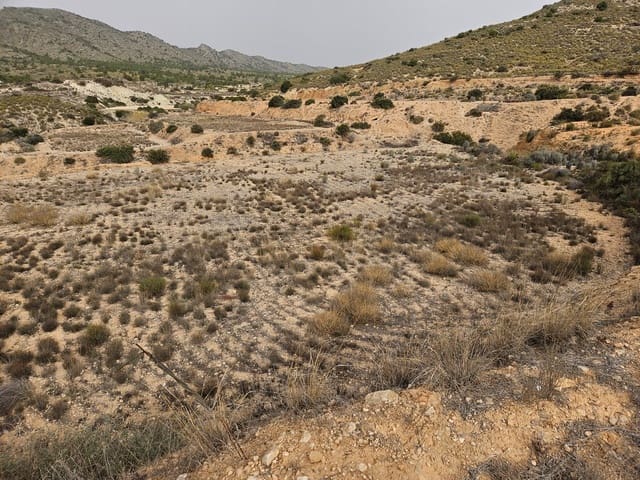 Undeveloped Land for sale in Novelda - € 45,000 (Ref: 8527111)