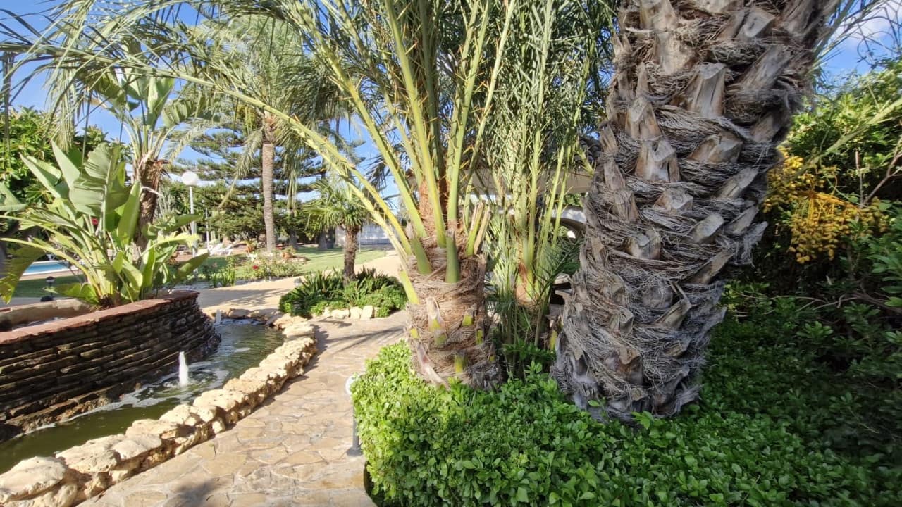 7 soveværelse Finca/Landehus til salg i Elche / Elx med swimmingpool - € 735.000 (Ref: 8571837)