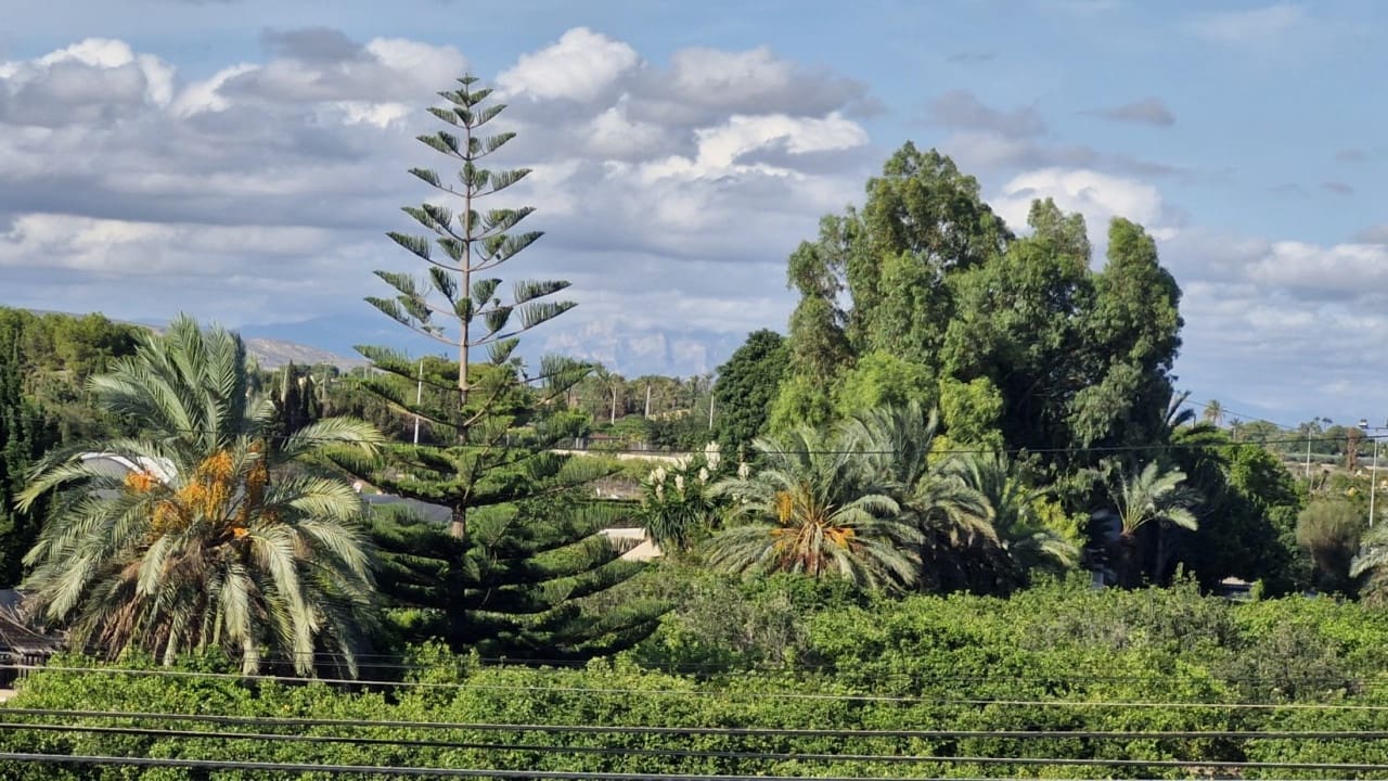 7 soveværelse Finca/Landehus til salg i Elche / Elx med swimmingpool - € 735.000 (Ref: 8571837)