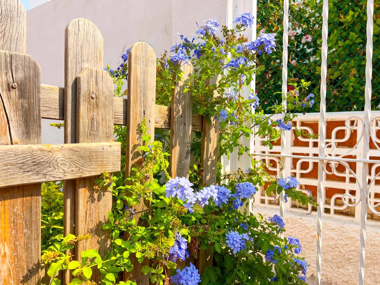 3 soverom Villa til salgs i La Mata med garasje - € 216 900 (Ref: 9233169)