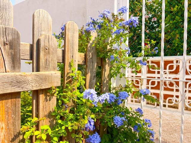 3 chambre Villa/Maison à vendre à La Mata - 188 990 € (Ref: 9233169)