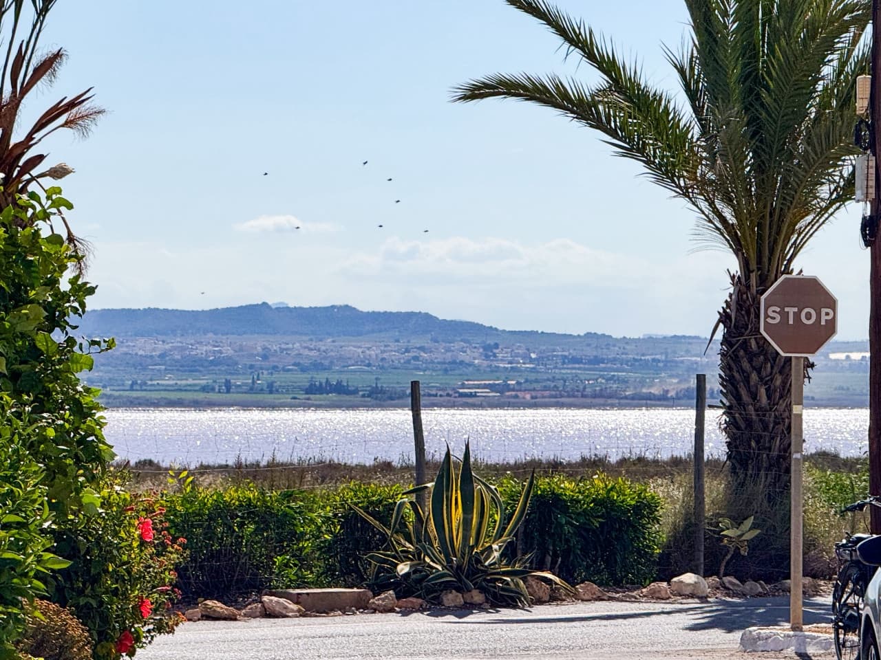 2 slaapkamer Villa te koop in Torrevieja met zwembad - € 135.000 (Ref: 9233210)