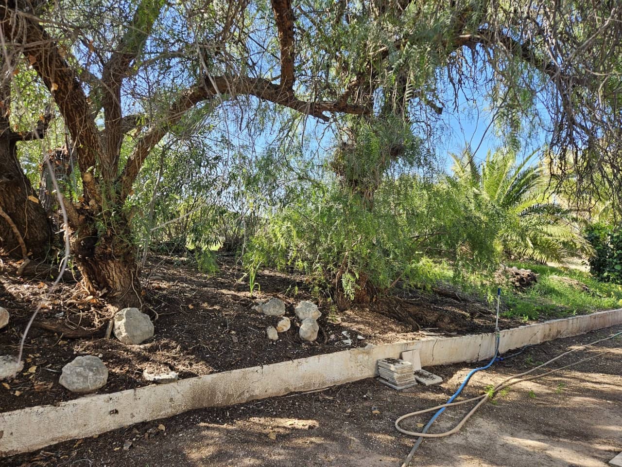 7 soverom Finca/Herregård til salgs i Novelda med svømmebasseng - € 549 000 (Ref: 9233231)