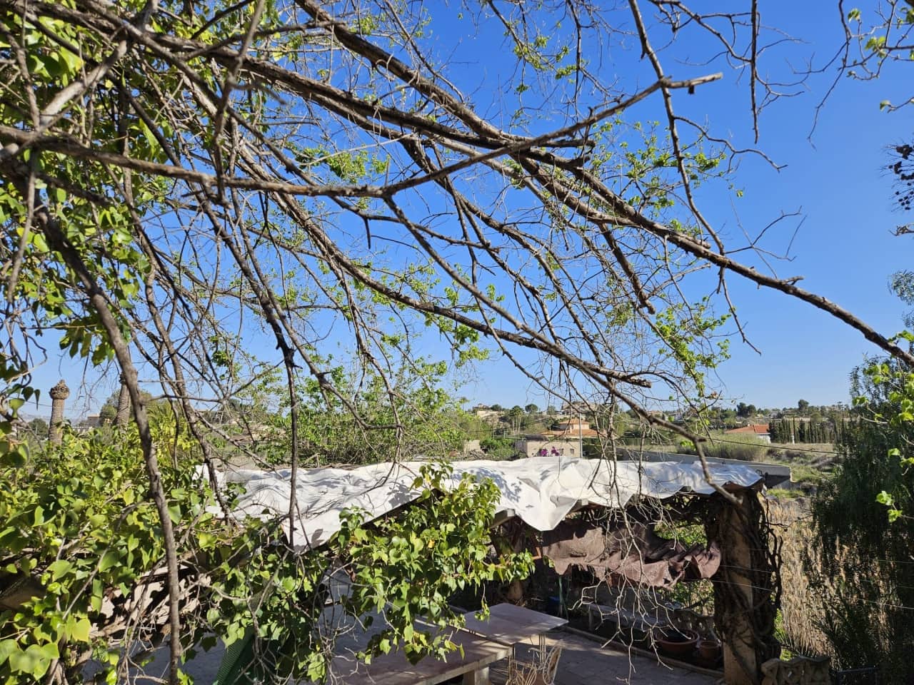 7 soverom Finca/Herregård til salgs i Novelda med svømmebasseng - € 549 000 (Ref: 9233231)