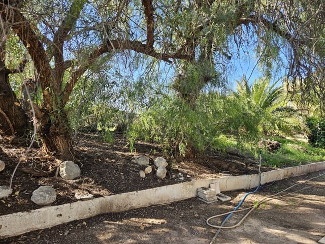 7 soveværelse Finca/Landehus til salg i Novelda med swimmingpool - € 549.000 (Ref: 9233231)