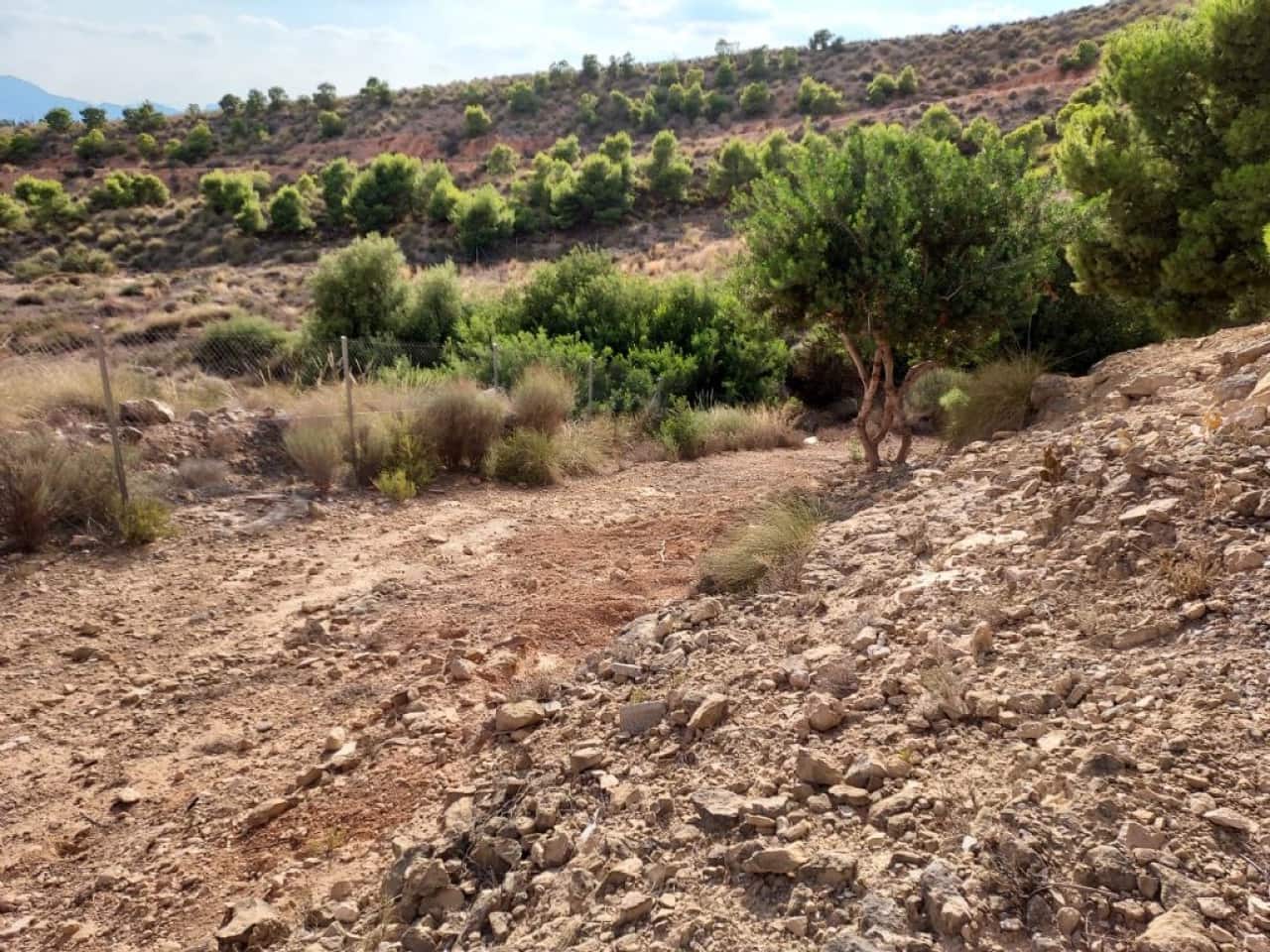 Grond te koop in Crevillente / Crevillent - € 69.000 (Ref: 9233235)