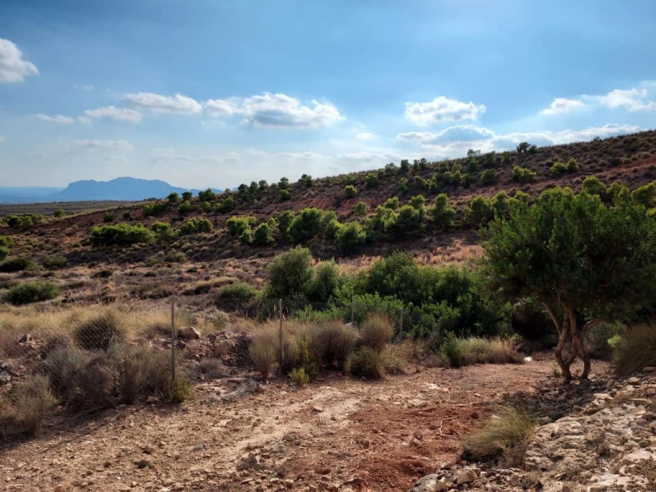 Grond te koop in Crevillente / Crevillent - € 69.000 (Ref: 9233235)