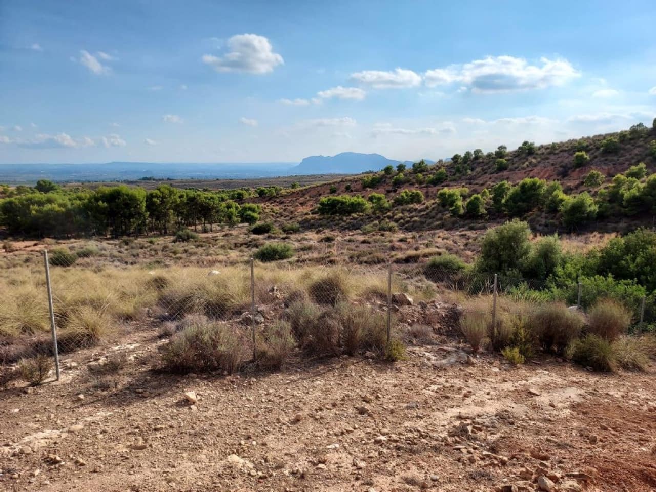 Grond te koop in Crevillente / Crevillent - € 69.000 (Ref: 9233235)