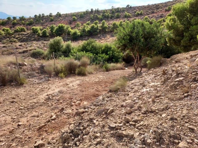 Grond te koop in Crevillente / Crevillent - € 69.000 (Ref: 9233235)