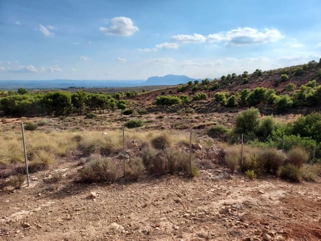 Grond te koop in Crevillente / Crevillent - € 69.000 (Ref: 9233235)