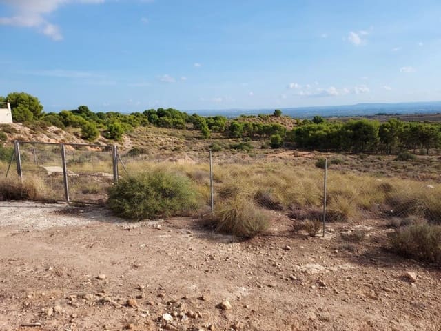 Grond te koop in Crevillente / Crevillent - € 69.000 (Ref: 9233235)