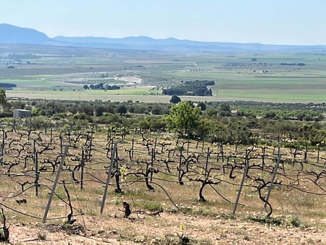 6 bedroom Villa for sale in Yecla with pool garage - € 800,000 (Ref: 9233245)