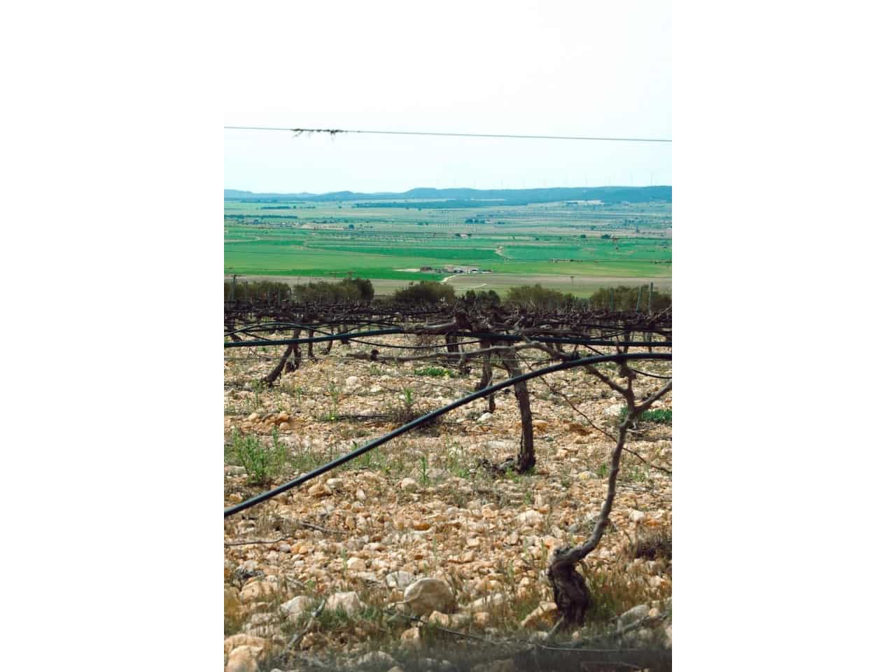 6 bedroom Villa for sale in Yecla with pool garage - € 800,000 (Ref: 9233246)