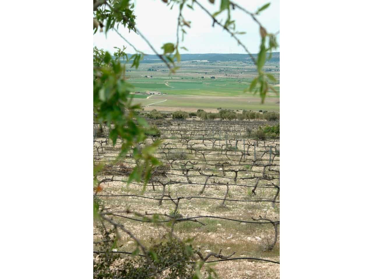 6 bedroom Villa for sale in Yecla with pool garage - € 800,000 (Ref: 9233246)