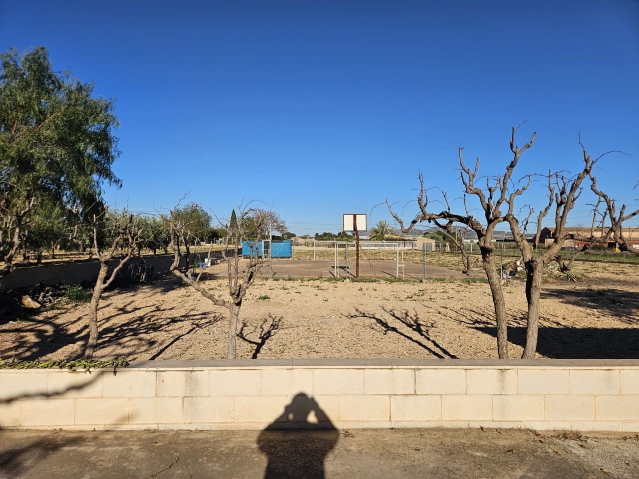 5 soveværelse Finca/Landehus til salg i Novelda med swimmingpool - € 350.000 (Ref: 9233333)