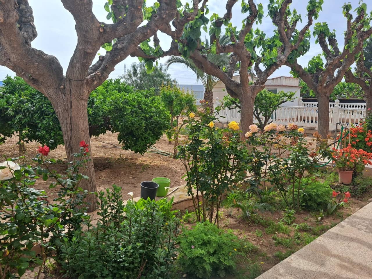 5 soveværelse Finca/Landehus til salg i Novelda med swimmingpool - € 350.000 (Ref: 9233333)