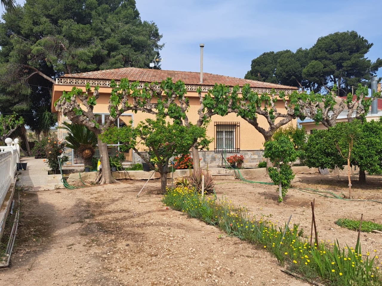 5 soveværelse Finca/Landehus til salg i Novelda med swimmingpool - € 350.000 (Ref: 9233333)