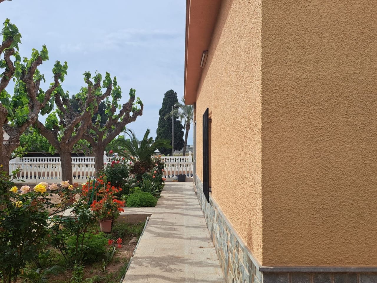 5 soveværelse Finca/Landehus til salg i Novelda med swimmingpool - € 350.000 (Ref: 9233333)