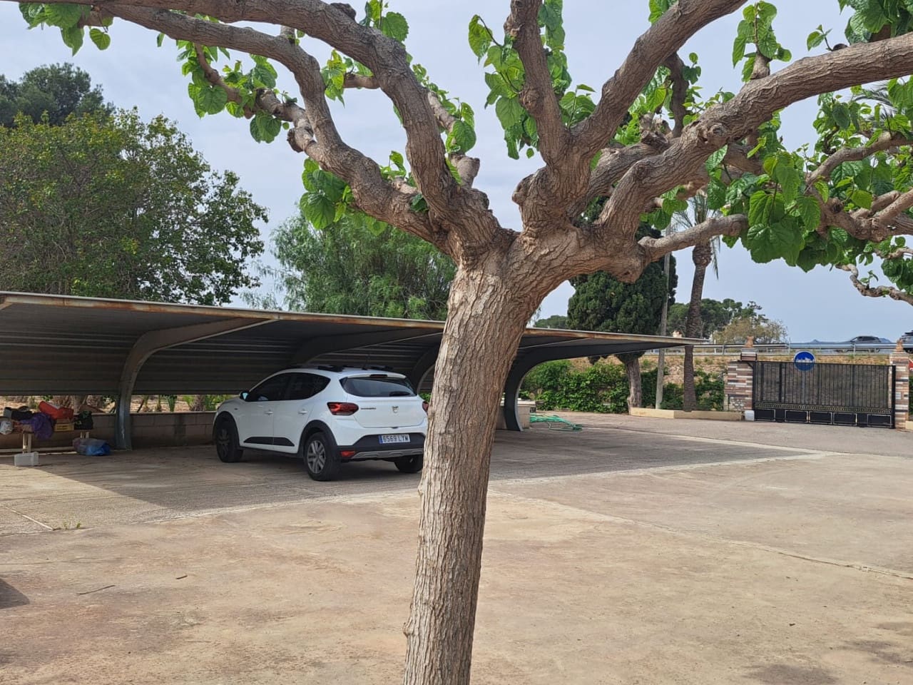 5 soveværelse Finca/Landehus til salg i Novelda med swimmingpool - € 350.000 (Ref: 9233333)