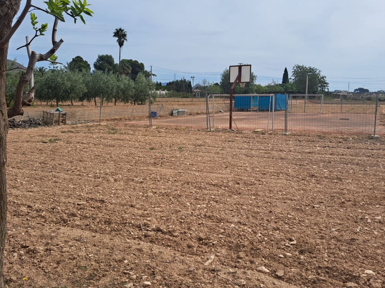 5 soveværelse Finca/Landehus til salg i Novelda med swimmingpool - € 350.000 (Ref: 9233333)