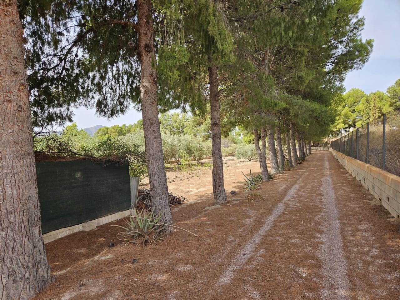 4 soverom Finca/Herregård til salgs i La Romana med svømmebasseng - € 187 000 (Ref: 9233340)