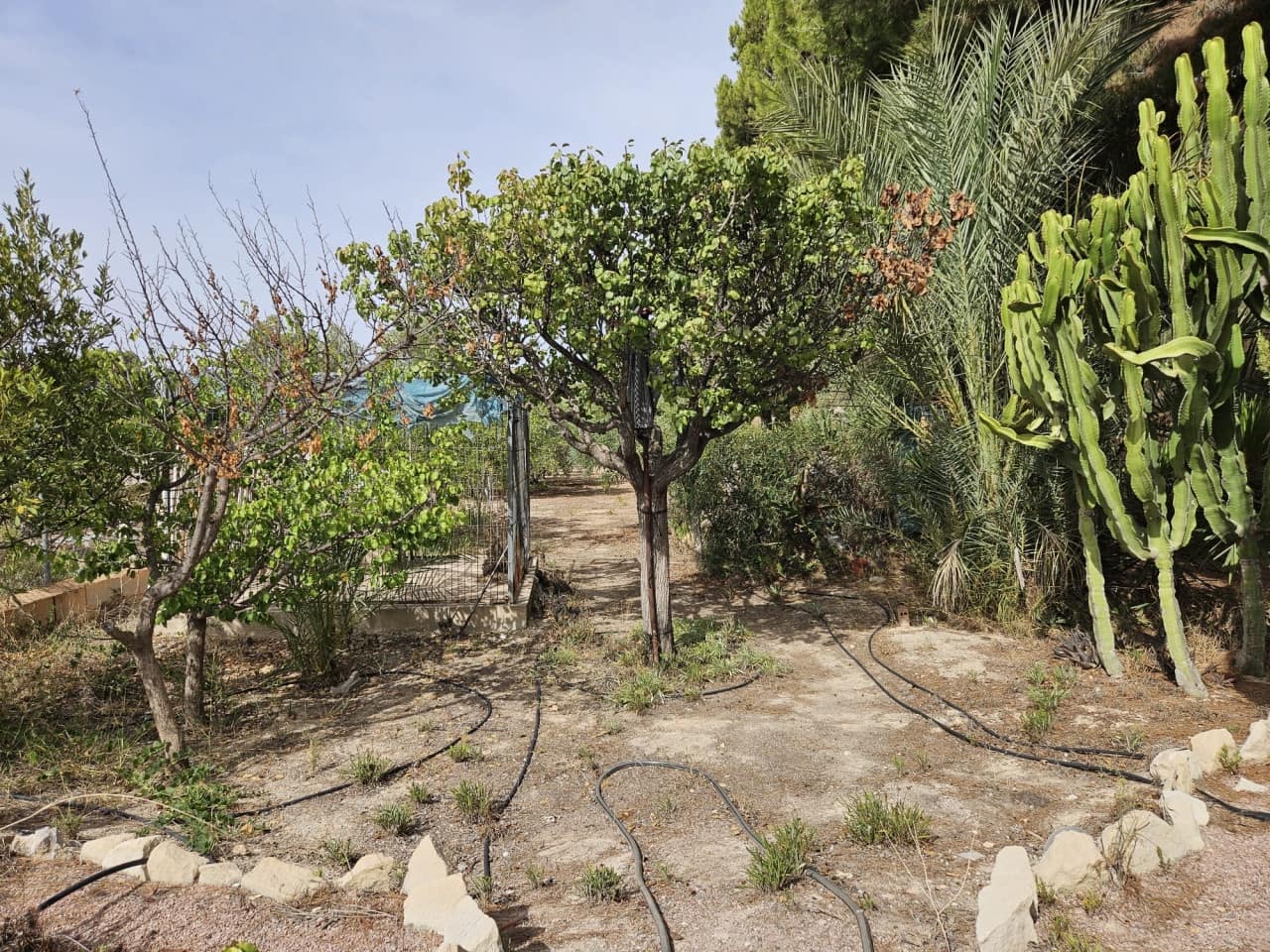 4 soverom Finca/Herregård til salgs i La Romana med svømmebasseng - € 187 000 (Ref: 9233340)