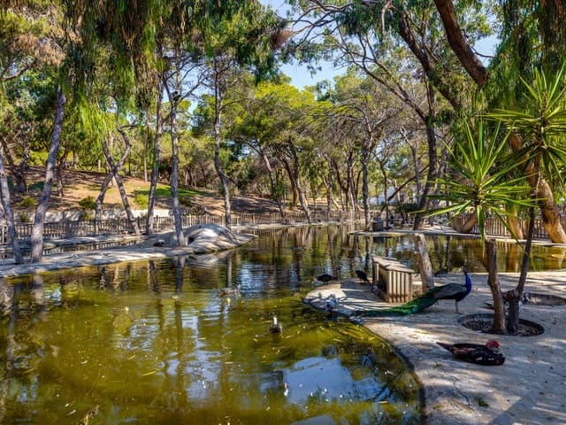 4 soveværelse Lejlighed til salg i Zona Pueblo, Guardamar del Segura - € 179.969 (Ref: 9233377)