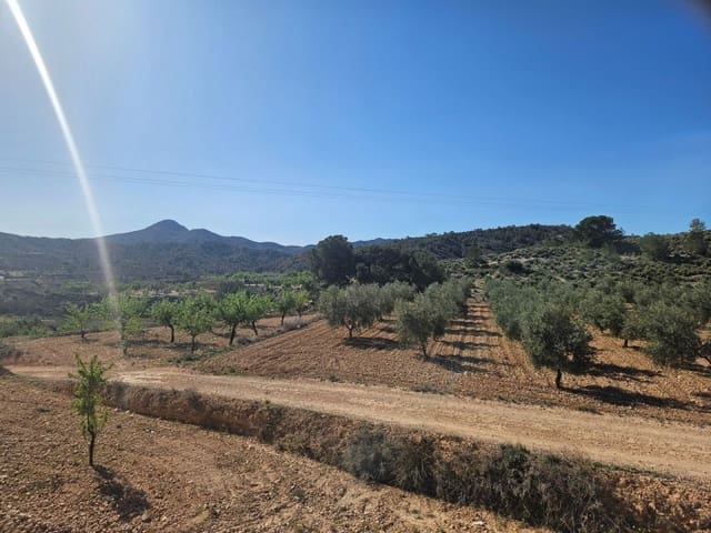 3 soverom Finca/Herregård til salgs i Macisvenda, Abanilla med svømmebasseng - € 319 000 (Ref: 9233385)