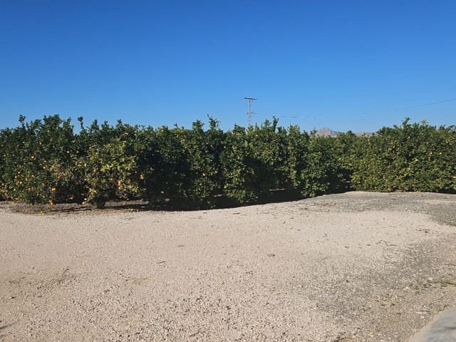 Finca/Hus på landet till salu i Albatera - 129 000 € (Ref: 9233472)