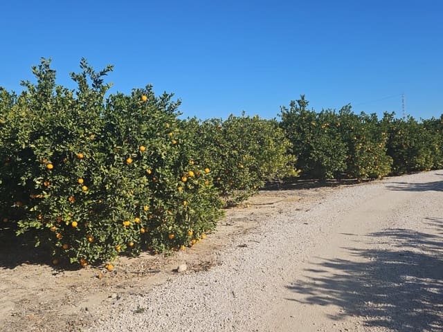 Finca/Hus på landet till salu i Albatera - 129 000 € (Ref: 9233472)