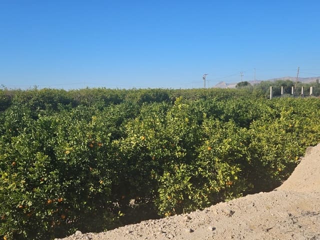 Finca/Hus på landet till salu i Albatera - 129 000 € (Ref: 9233472)